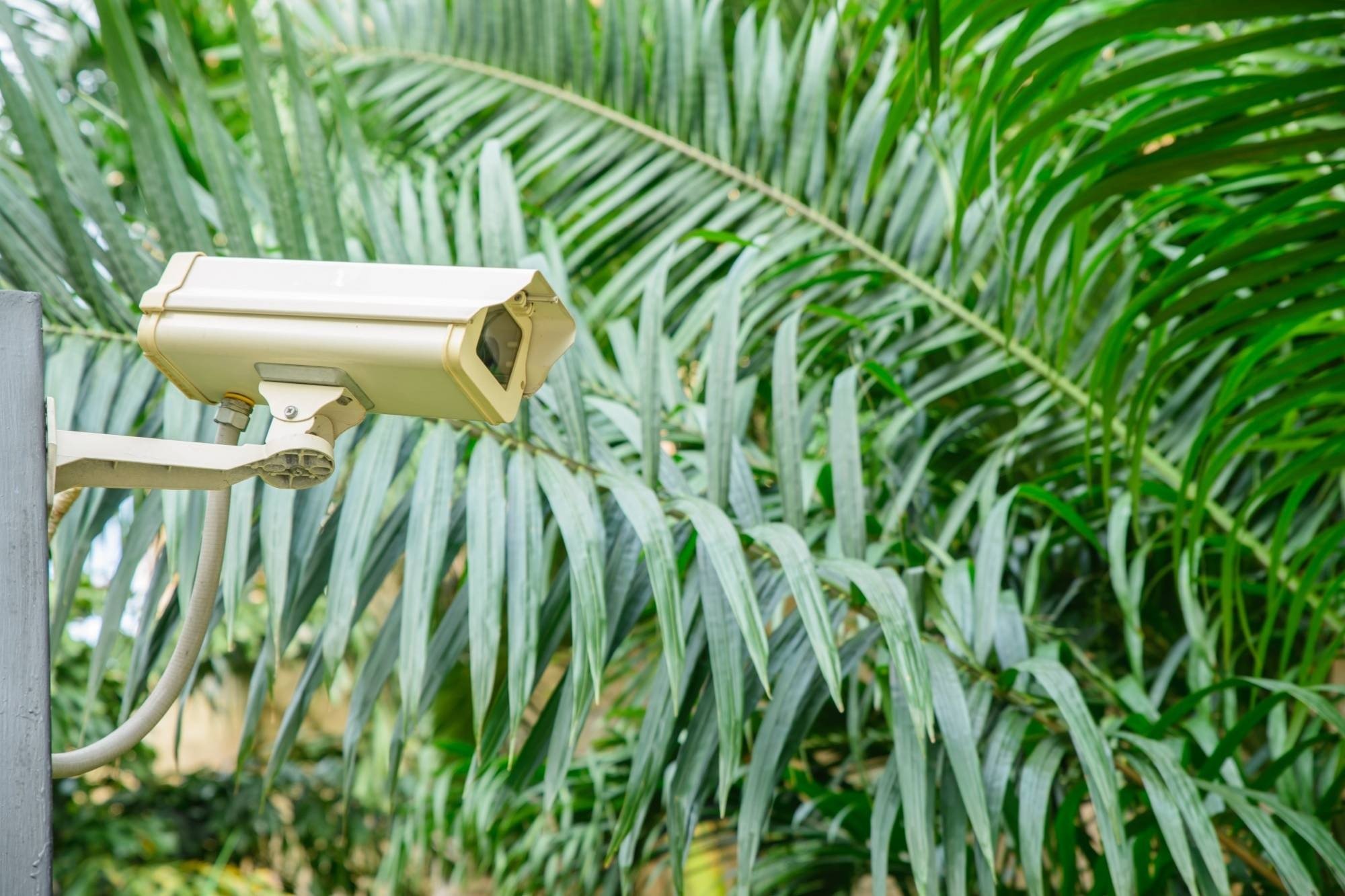 Apartment IP camera install