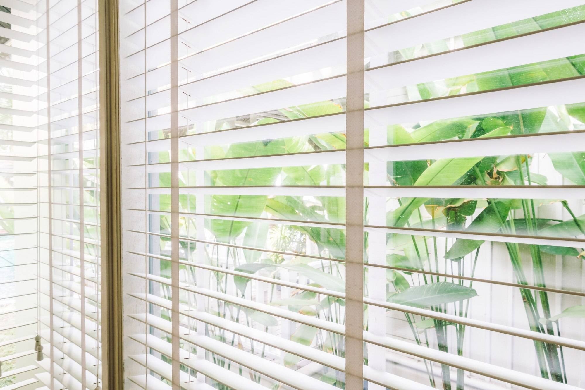 Vertical and venetian blinds