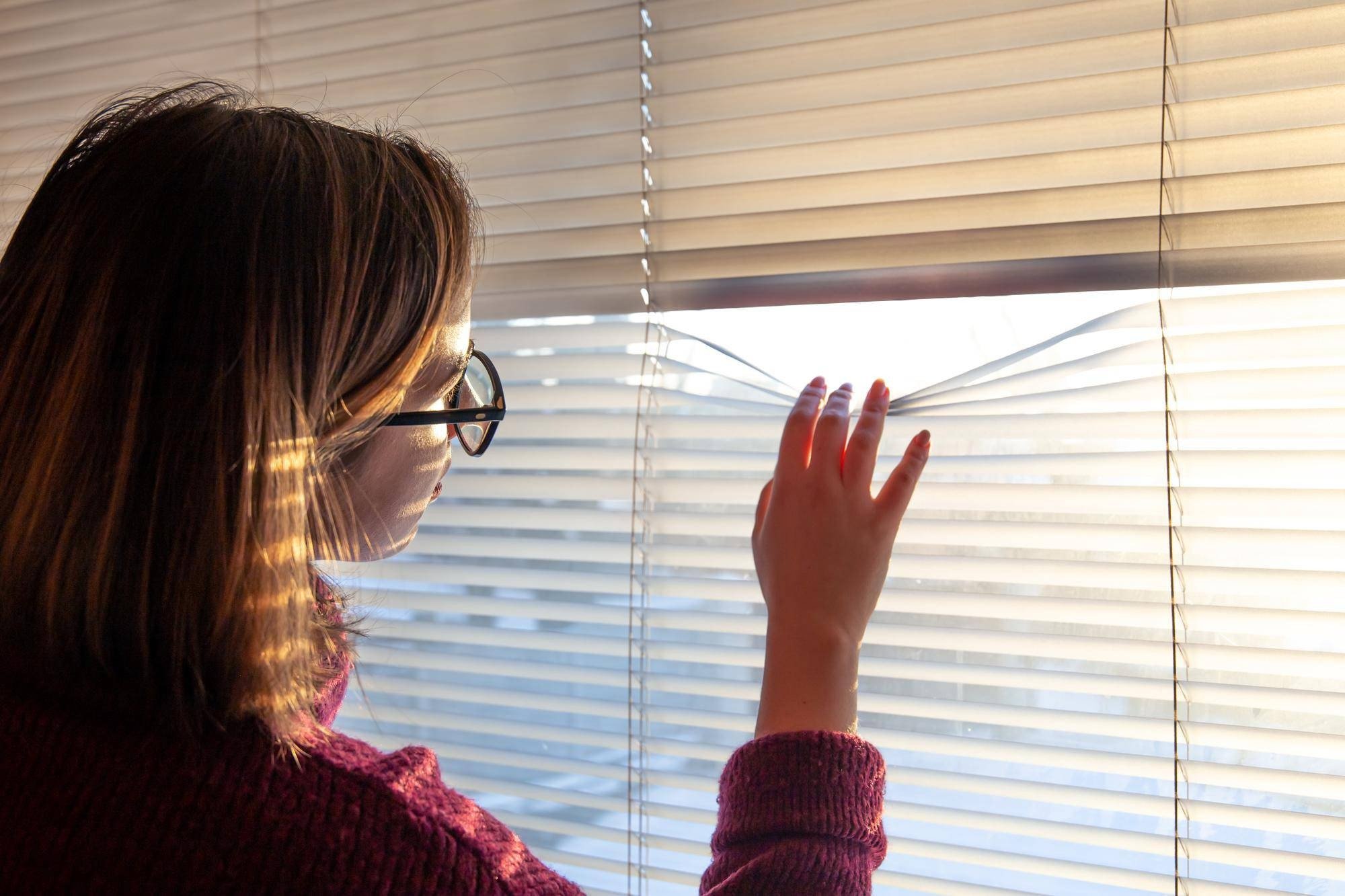Heat and light control shades