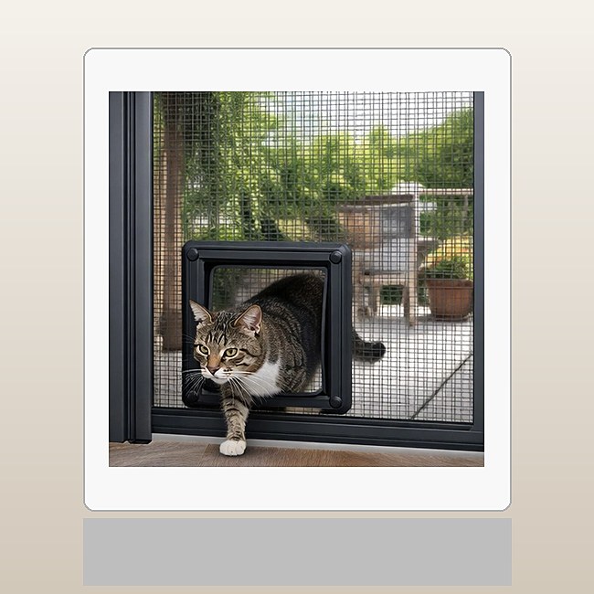 Fly Screen - 2
