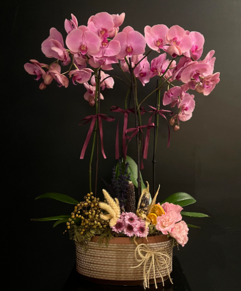 4-Stem Blue Orchid