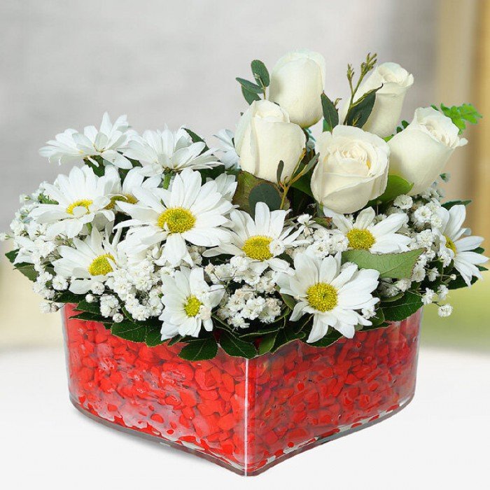 White Daisy in Vase
