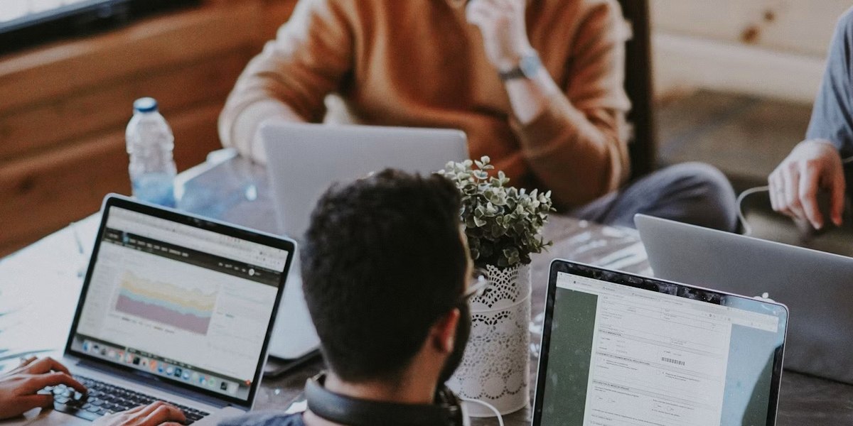 İşletme web sitesi yapımı Tkibuli