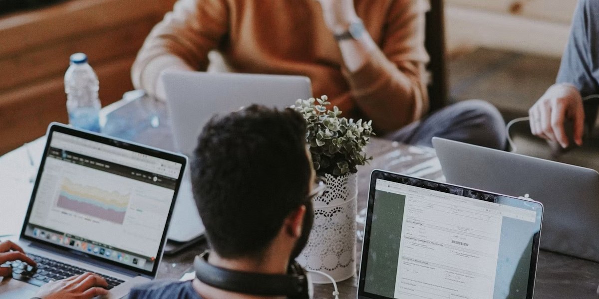Kaliteli Web Portal Yapımı Telavi