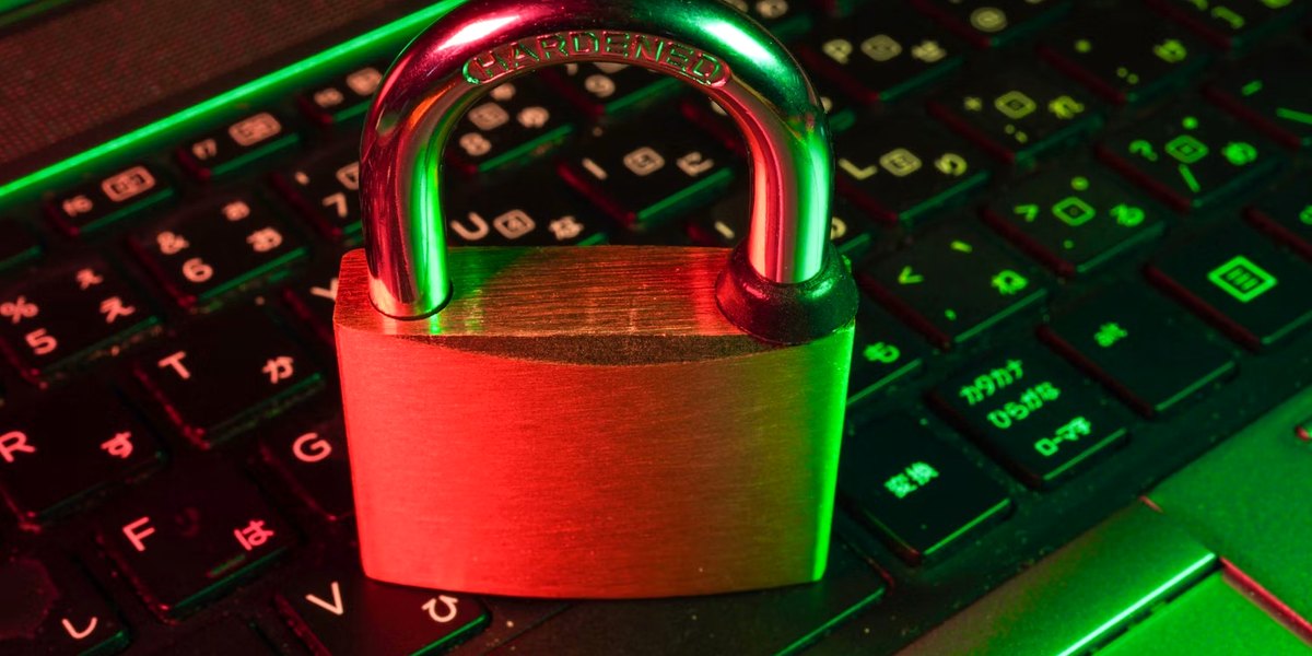 Secure Web Solutions: SSL, Data Protection and Reliability