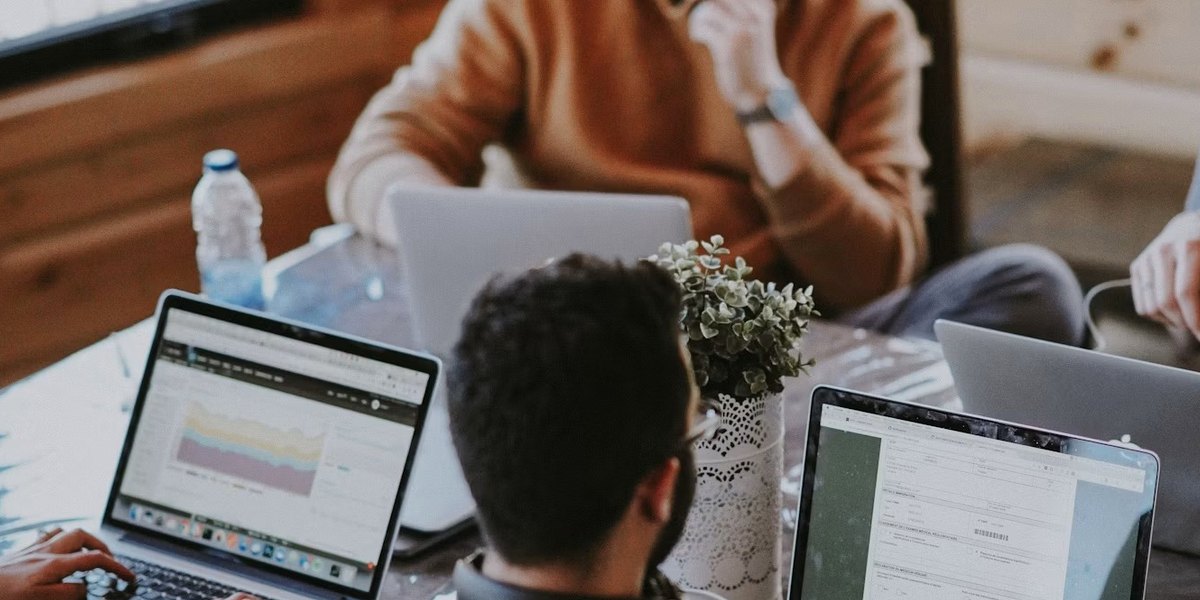 Şirket web sitesi yapımı Sagarejo