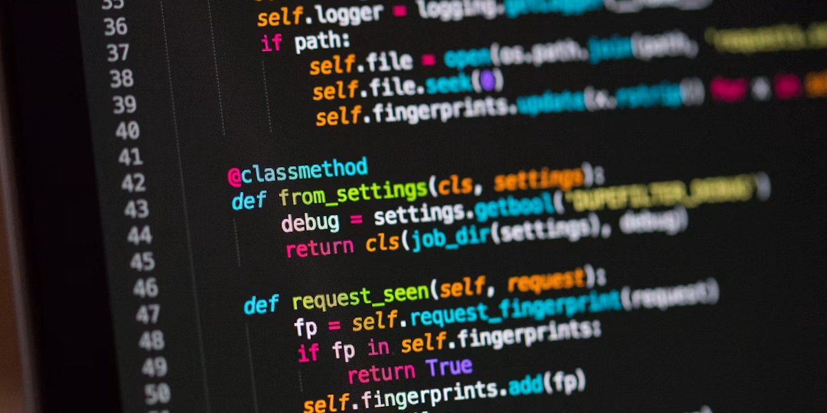 Web Geliştirici En Iyi