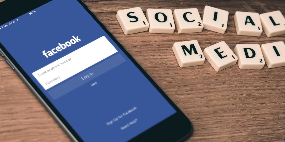 Web Geliştirici SEO Ile