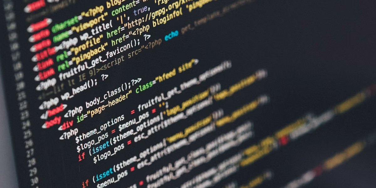 Web geliştirici Zugdidi
