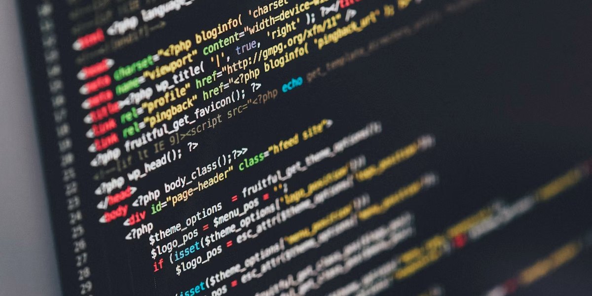 Web programlama Borjomi