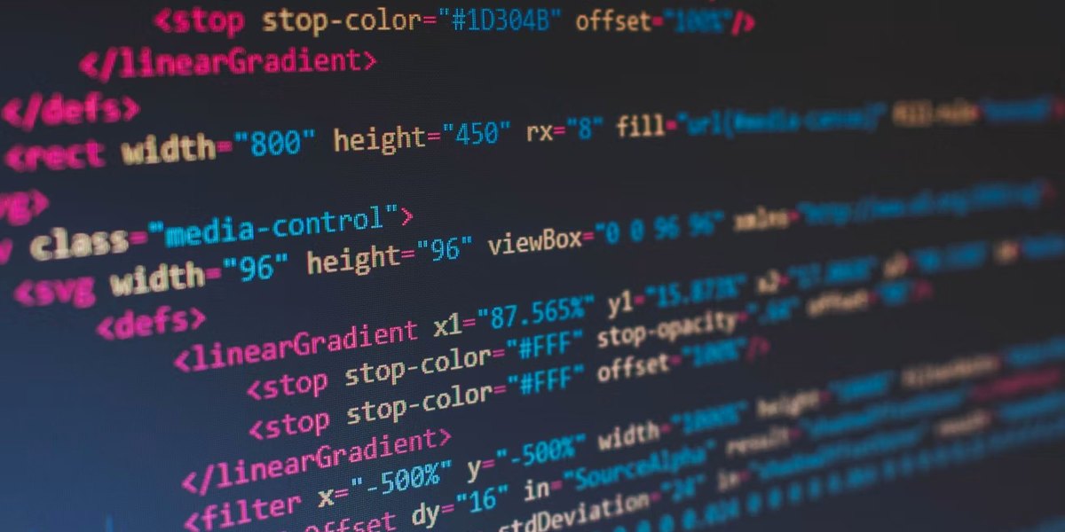 Web Programlama Haşuri