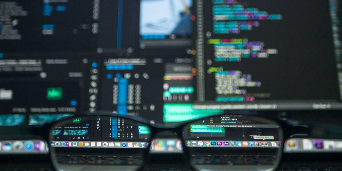 Software Consulting