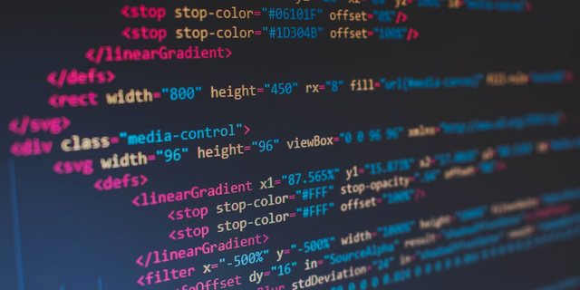 Kaliteli WordPress Web Sitesi Poti