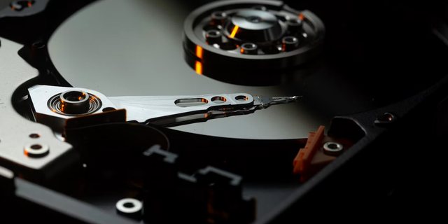 ვებ დეველოპერი ჰოსტინგით