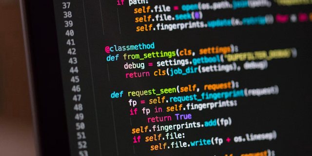 WordPress დეველოპერი — ბათუმი