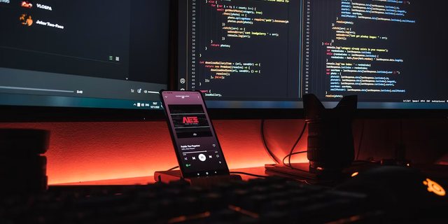 WordPress დეველოპერი — გარდაბანი