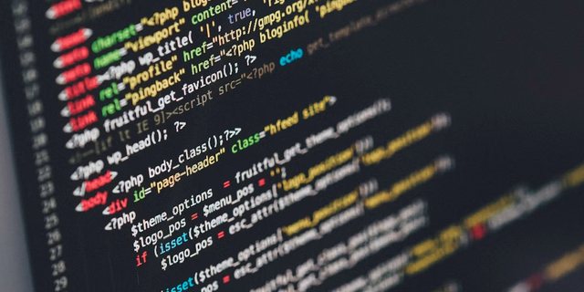 WordPress დეველოპერი — კასპი