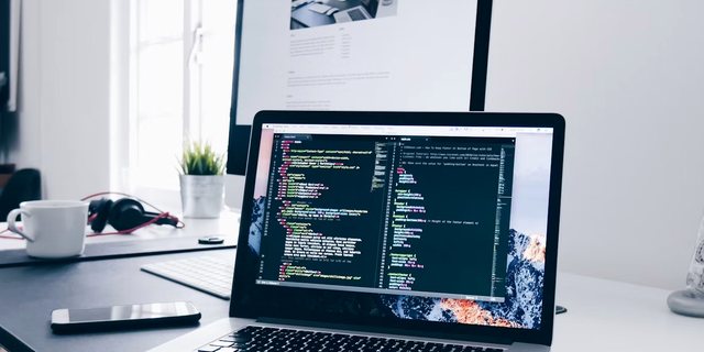 WordPress დეველოპერი Poti