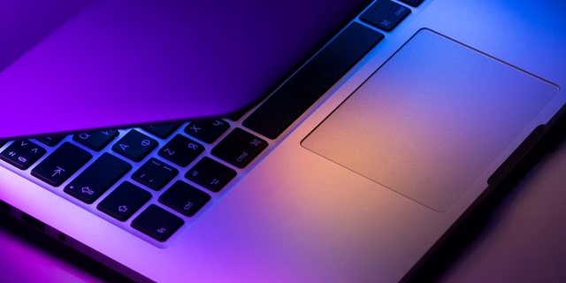 WordPress დეველოპერი — რუსთავი