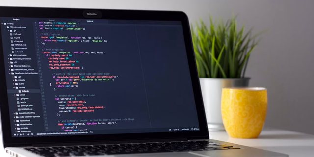 WordPress დეველოპერი Rustavi