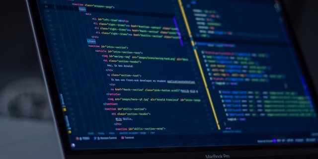 WordPress დეველოპერი — სენაკი
