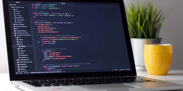 WordPress დეველოპერი — ტყიბული