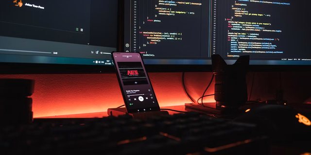WordPress დეველოპერი Zugdidi