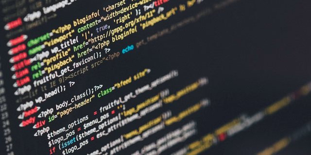 WordPress საიტის დამზადება — სენაკი