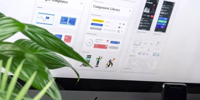 WordPress დიზაინი Kutaisi